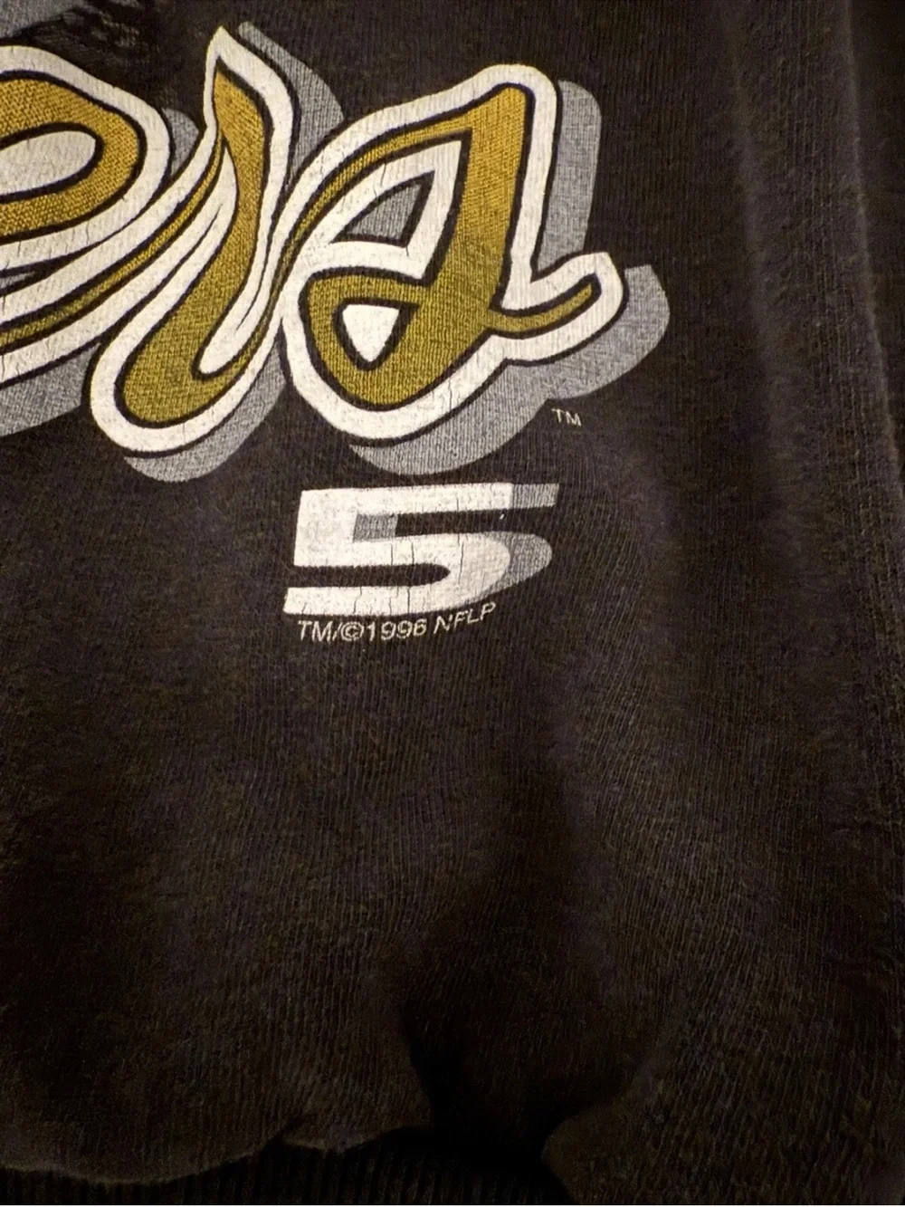 NFL Pittsburgh Steelers Black and Gold 1995 AFC Champions Crewneck
